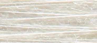 R01米白
